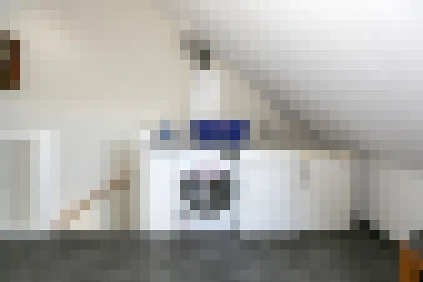 De Meutelaer 21 Stellendam thumbnail 31