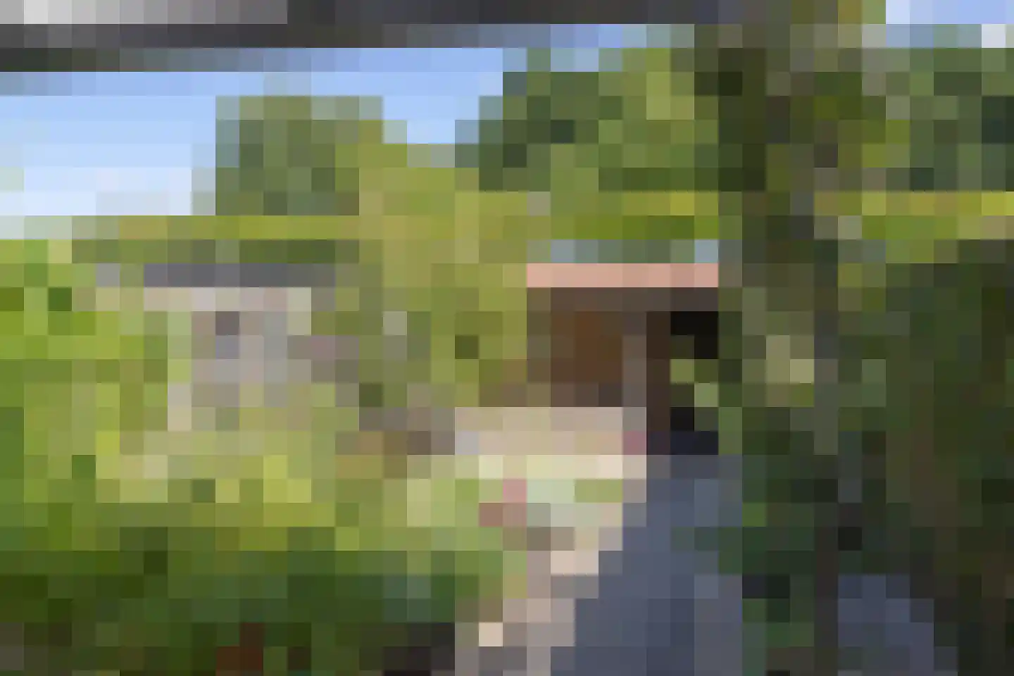 De Meutelaer 21 Stellendam thumbnail 5