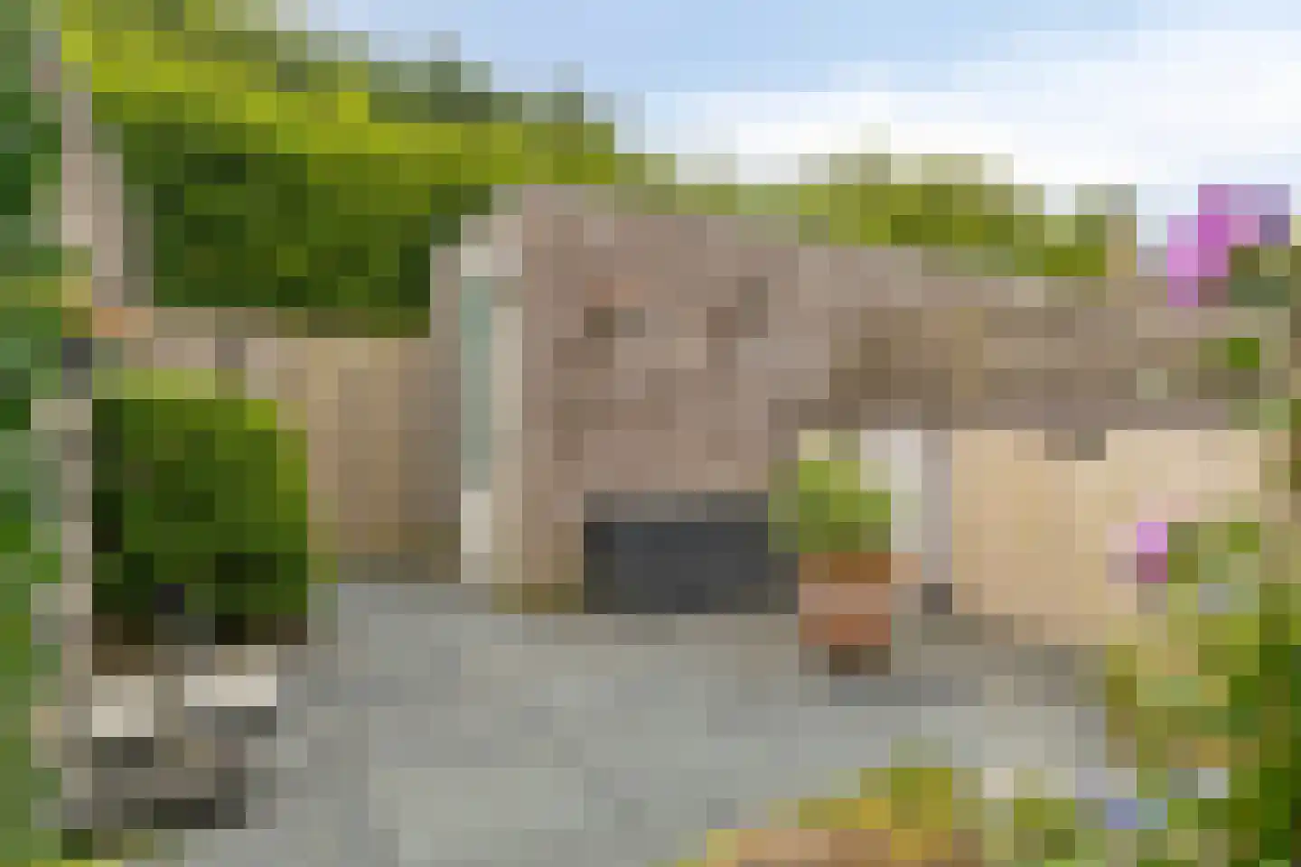 De Meutelaer 23 Stellendam thumbnail 23