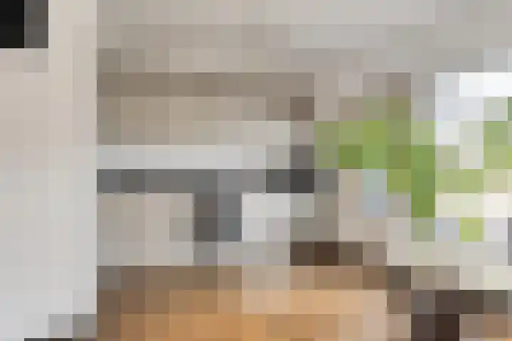 De Mey van Streefkerklaan 2 Vlissingen thumbnail 12