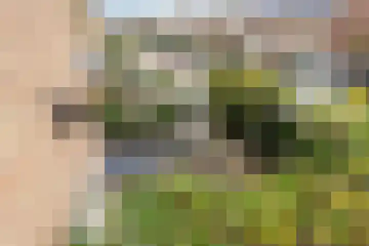 De Mey van Streefkerklaan 2 Vlissingen thumbnail 30
