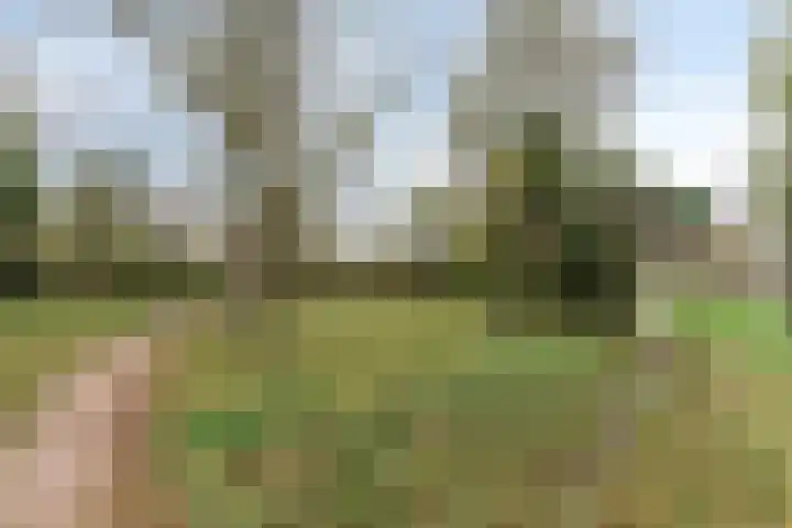 De Mey van Streefkerklaan 2 Vlissingen thumbnail 37