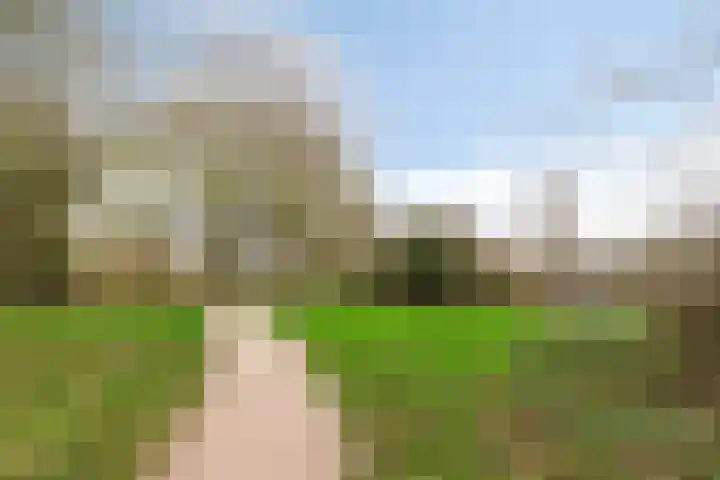 De Mey van Streefkerklaan 2 Vlissingen thumbnail 38