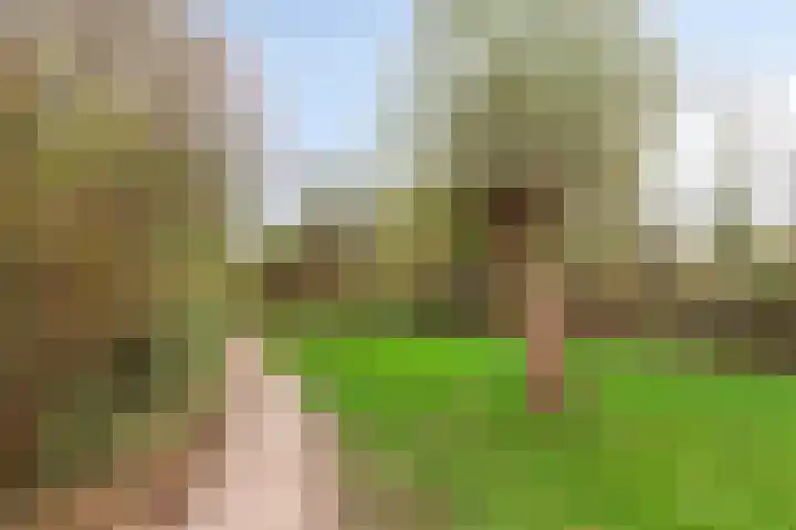 De Mey van Streefkerklaan 2 Vlissingen thumbnail 39
