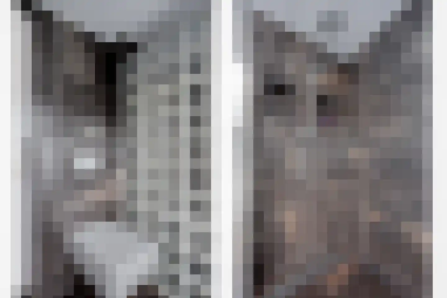 De Mey van Streefkerklaan 4 Vlissingen thumbnail 24