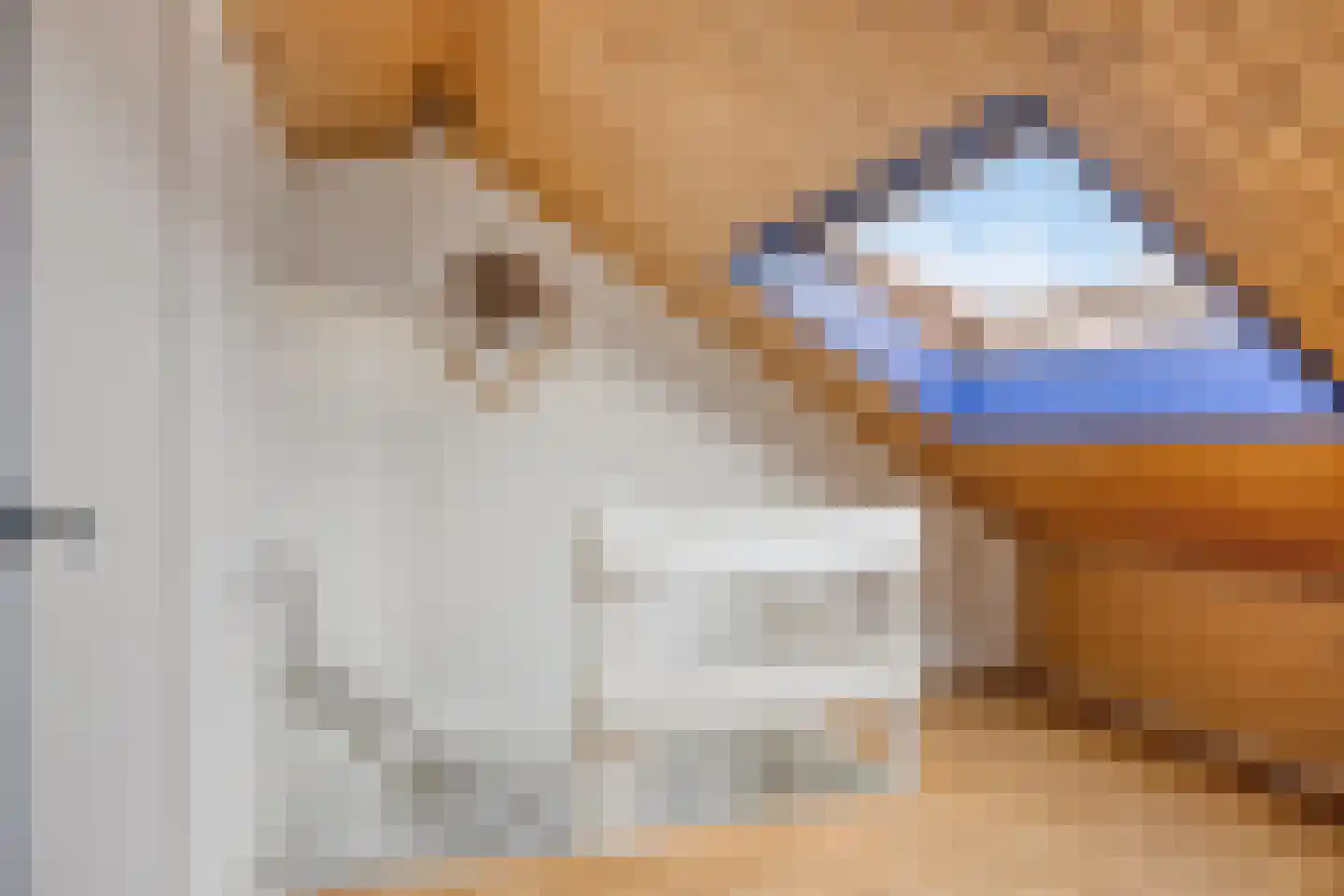 De Mey van Streefkerklaan 4 Vlissingen thumbnail 25