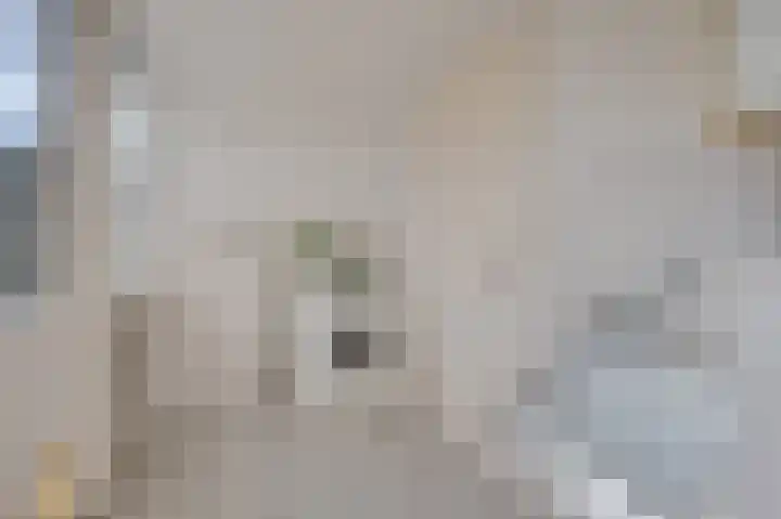De Meylaan 19 Middelburg thumbnail 12