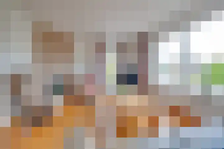 De Meylaan 19 Middelburg thumbnail 17