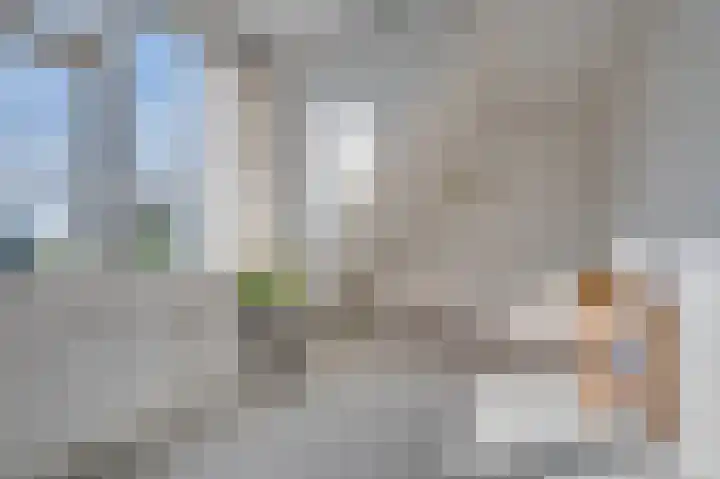 De Meylaan 19 Middelburg thumbnail 20