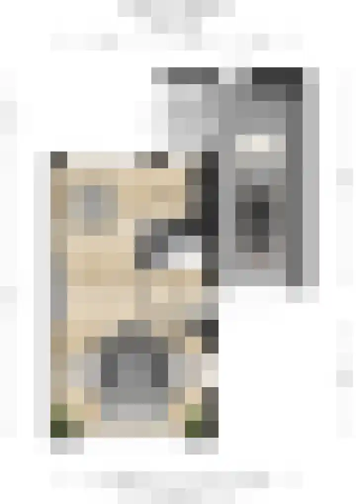 De Meylaan 19 Middelburg thumbnail 38