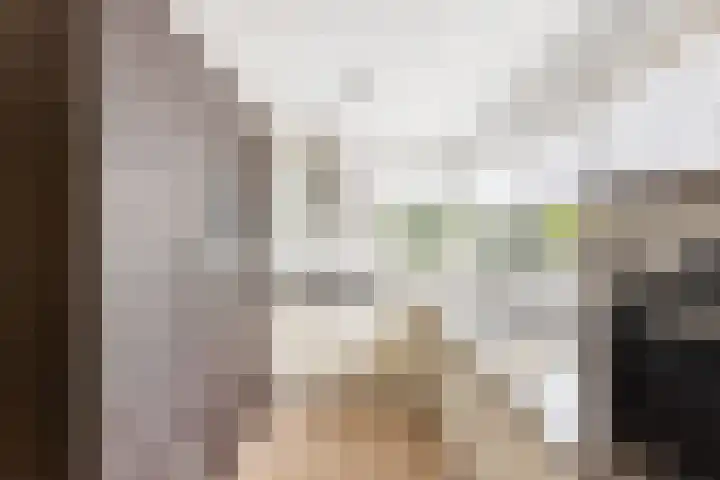 De Meylaan 3 Middelburg thumbnail 15