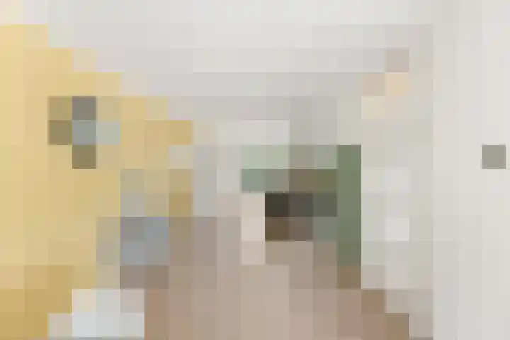 De Meylaan 3 Middelburg thumbnail 17