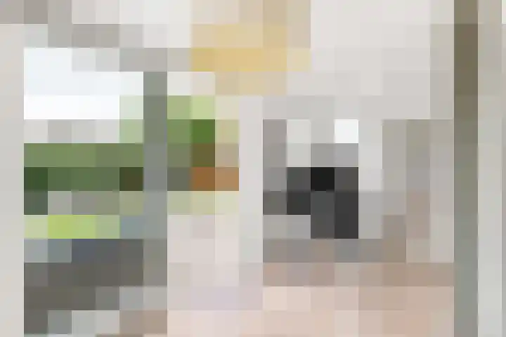 De Meylaan 3 Middelburg thumbnail 18