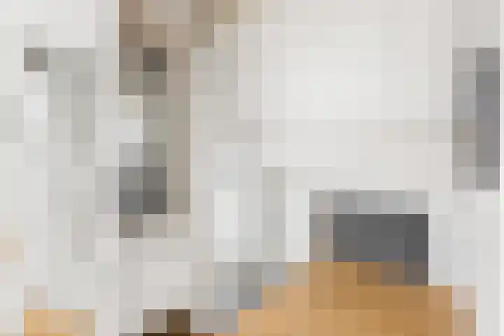 De Meylaan 3 Middelburg thumbnail 31