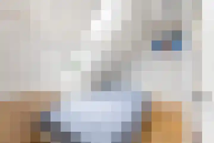 De Meylaan 3 Middelburg thumbnail 33