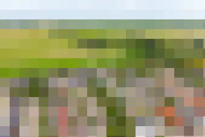 De Meylaan 3 Middelburg thumbnail 35