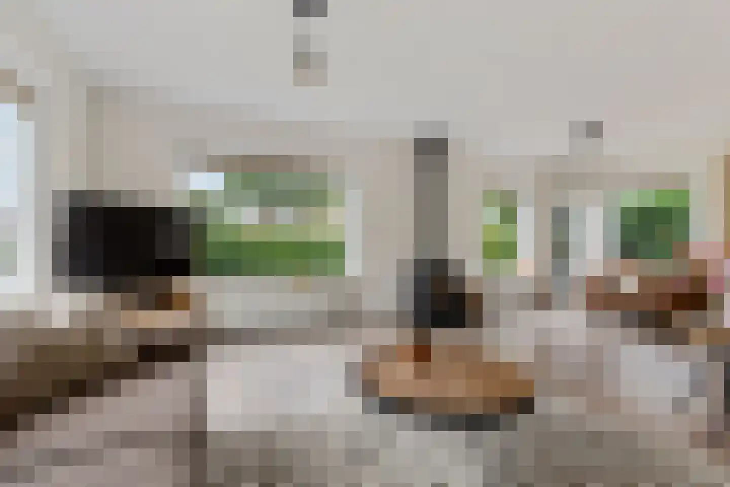 De Mieden 10 Balk thumbnail 10
