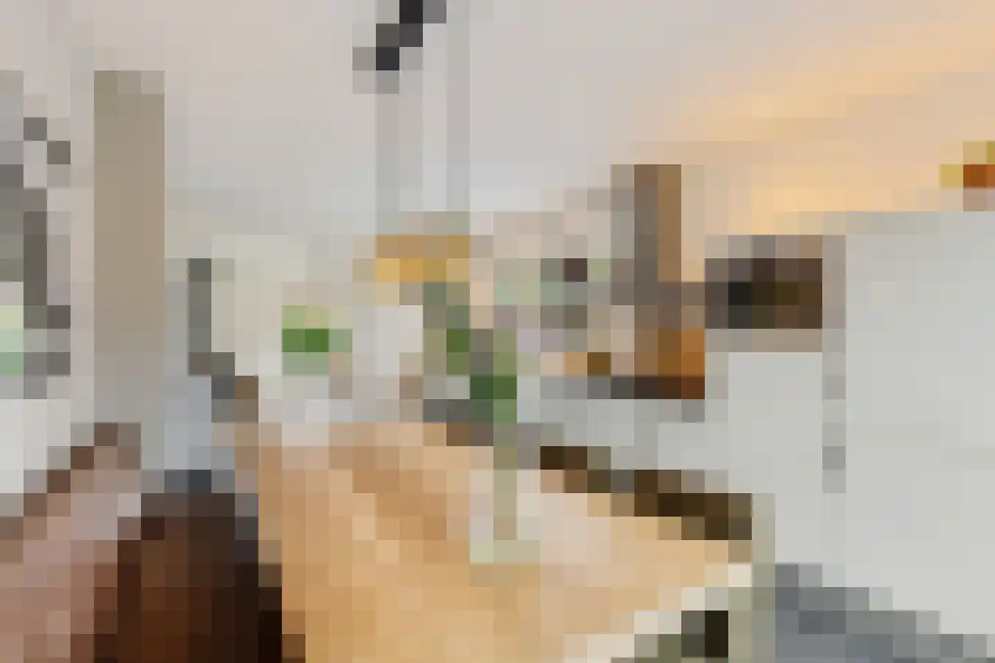 De Mieden 10 Balk thumbnail 14