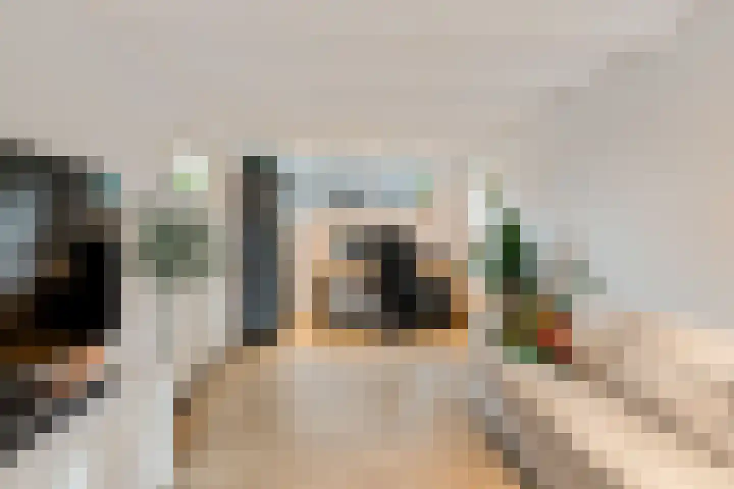 De Mieden 10 Balk thumbnail 18