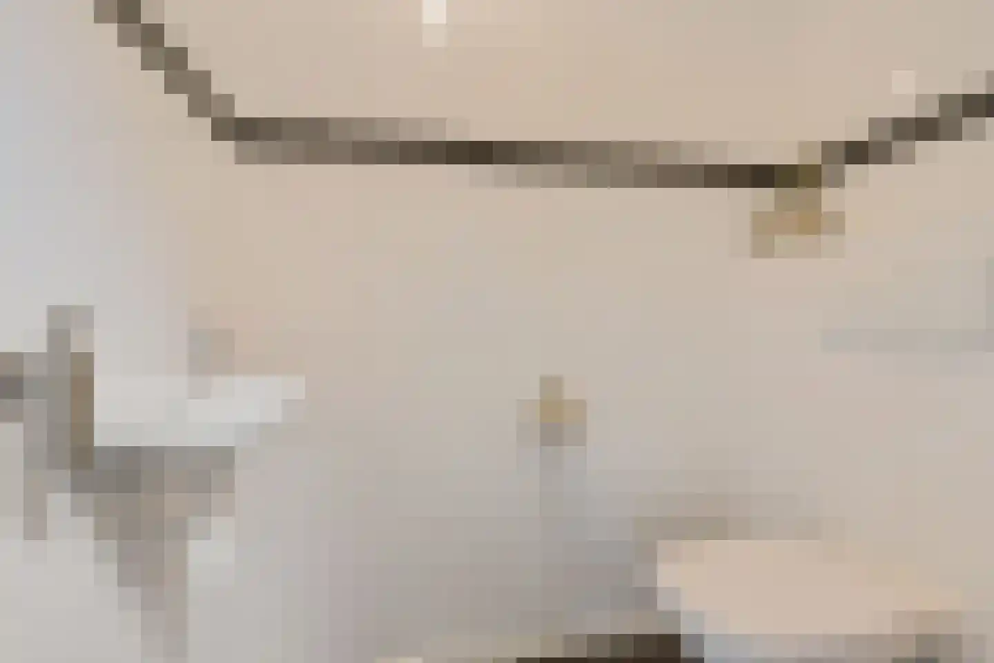 De Mieden 10 Balk thumbnail 20