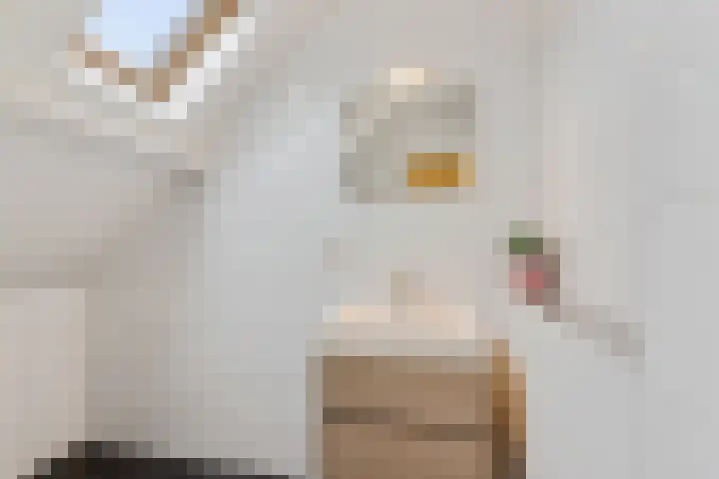 De Mieden 10 Balk thumbnail 31