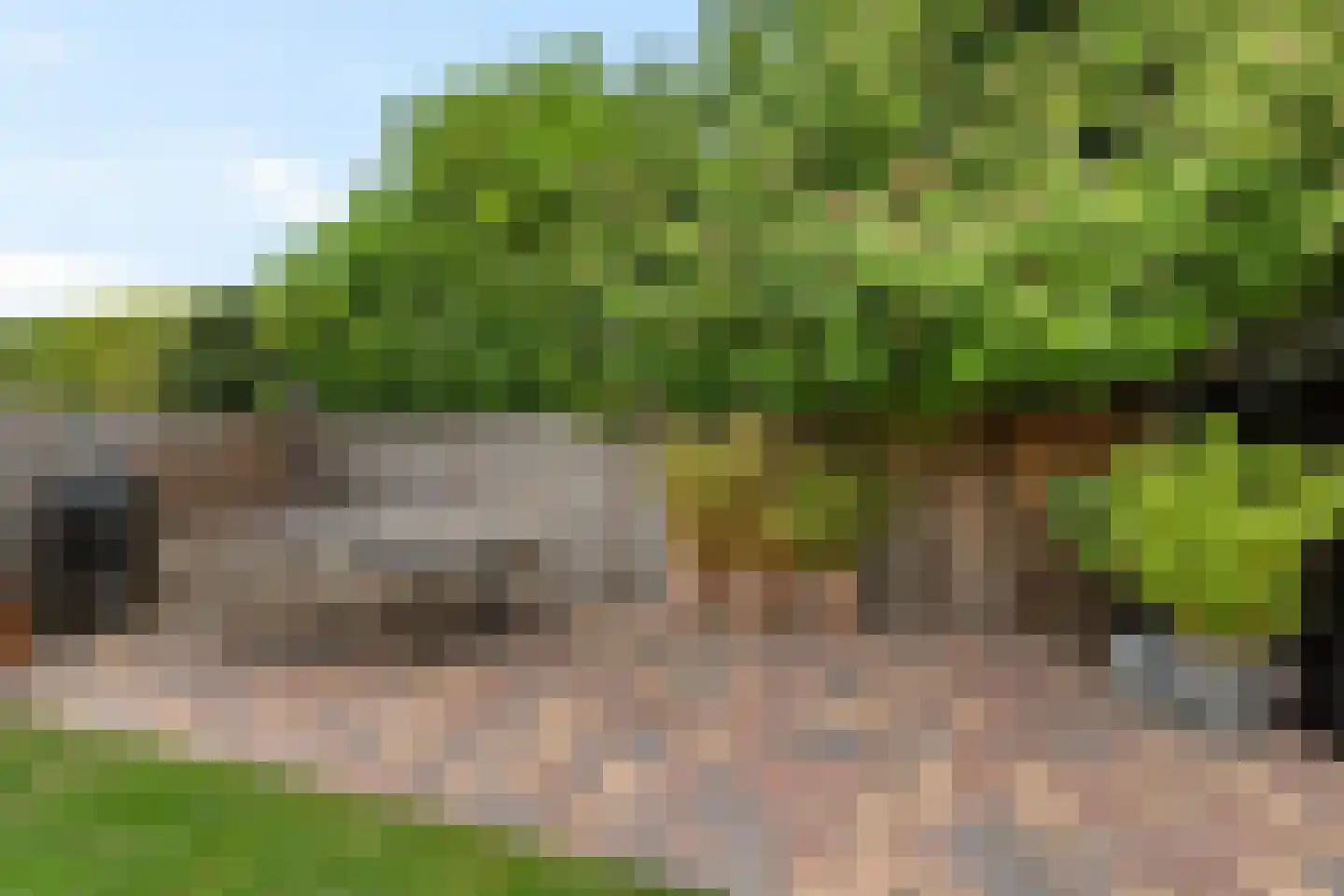 De Mieden 10 Balk thumbnail 41