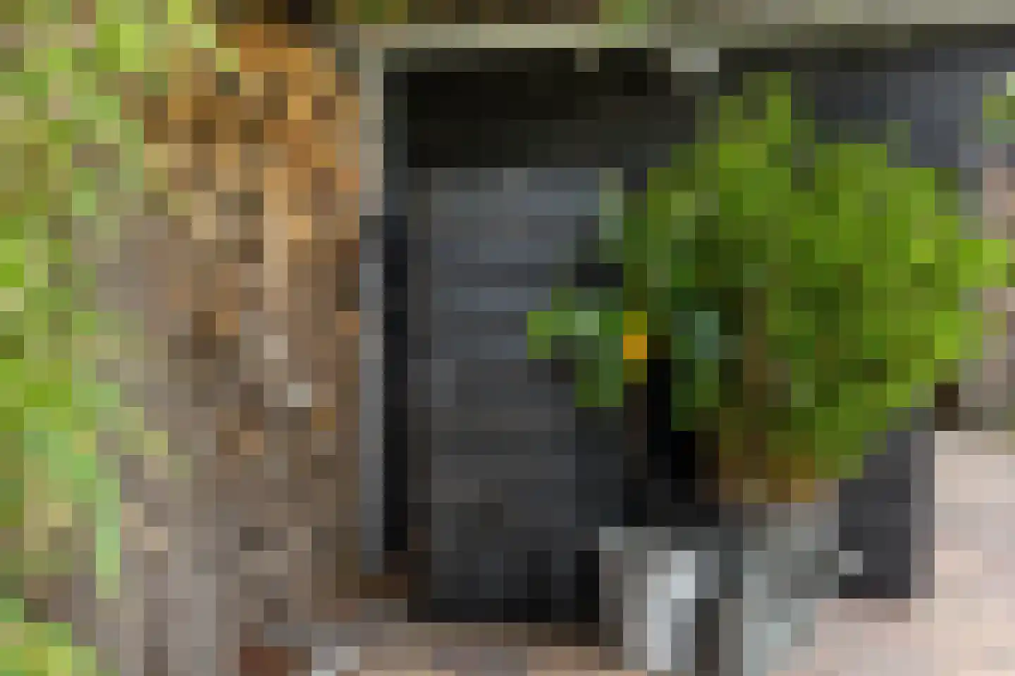 De Mieden 10 Balk thumbnail 43
