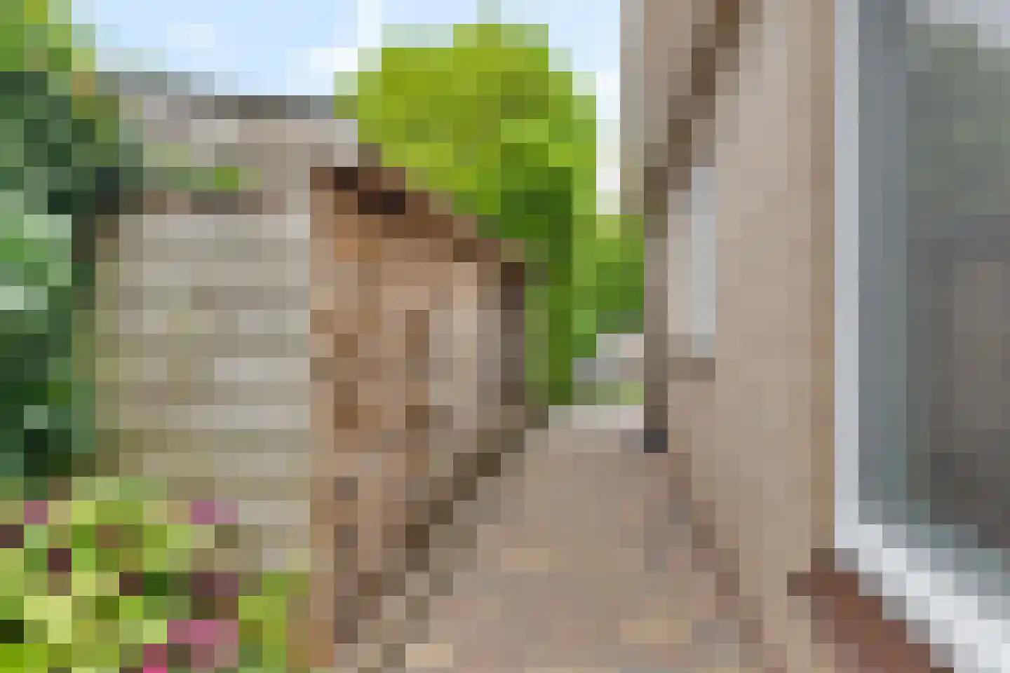 De Mieden 10 Balk thumbnail 47