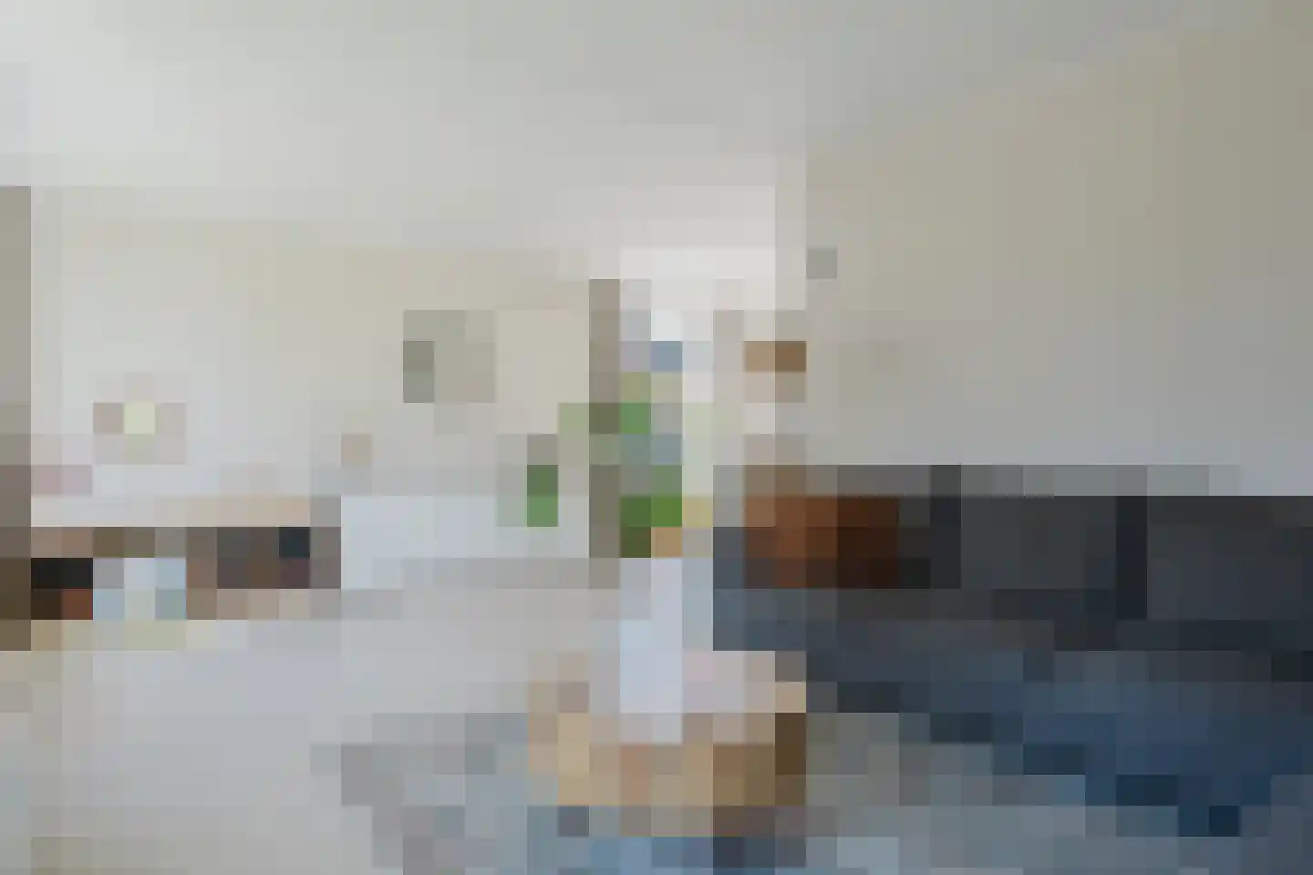 de Mieden 11 Tjalleberd thumbnail 15