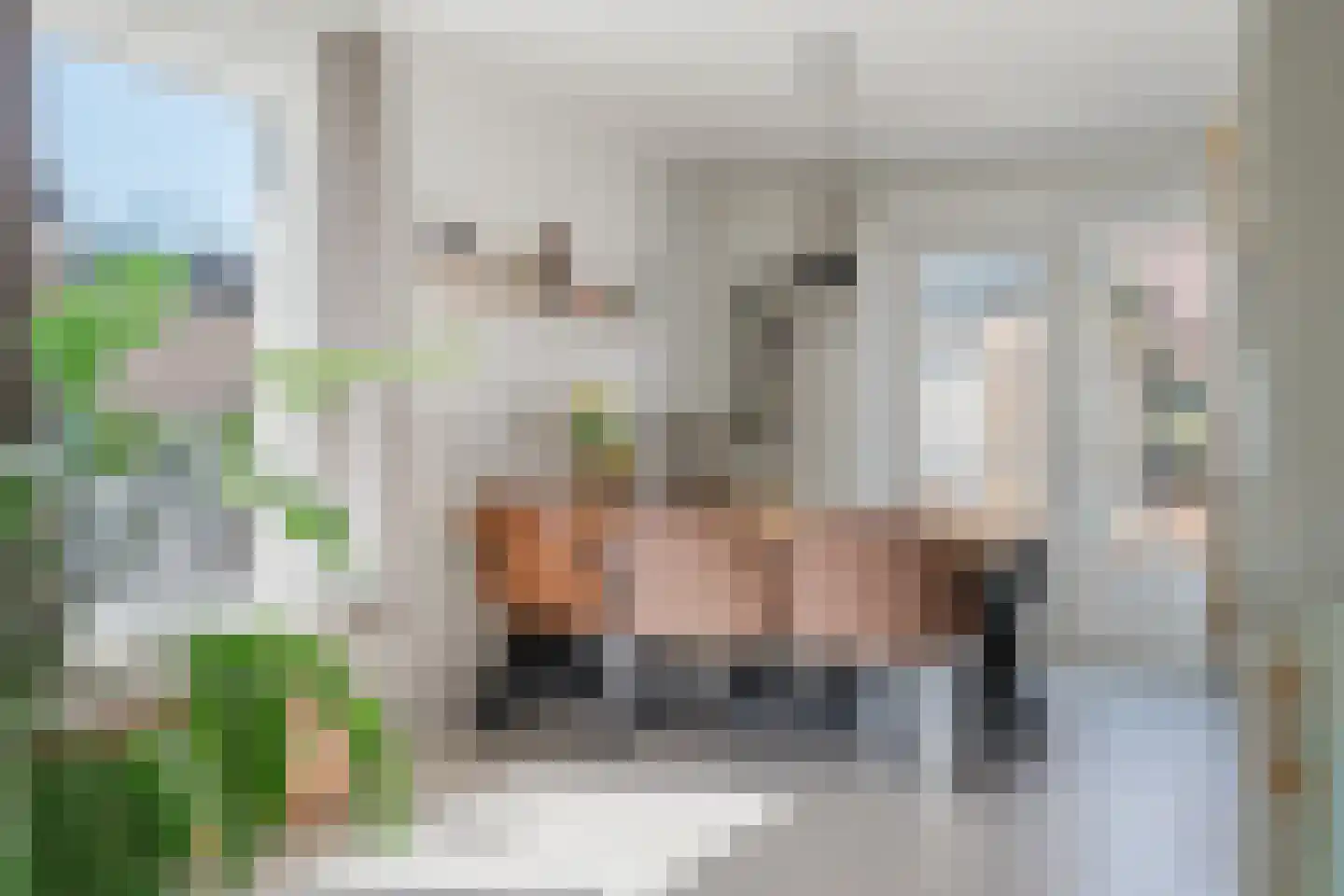 de Mieden 11 Tjalleberd thumbnail 18