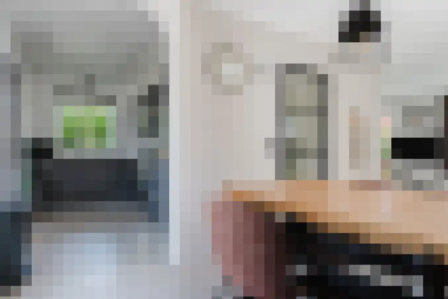 de Mieden 11 Tjalleberd thumbnail 19