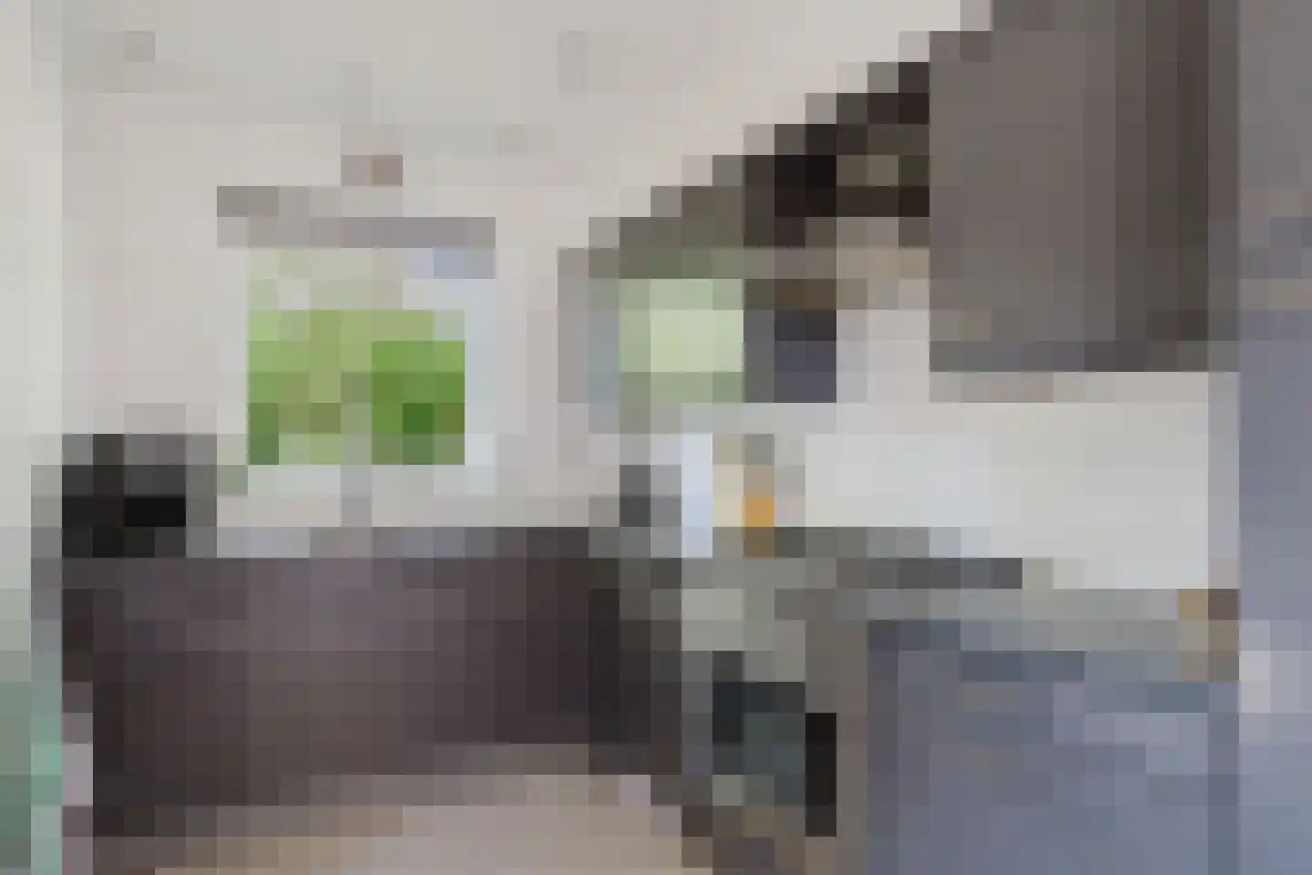 de Mieden 11 Tjalleberd thumbnail 20