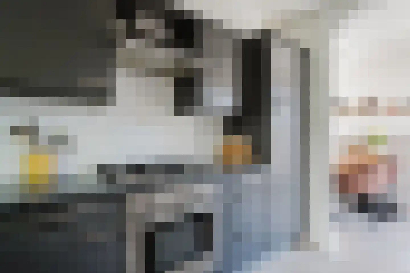 de Mieden 11 Tjalleberd thumbnail 21