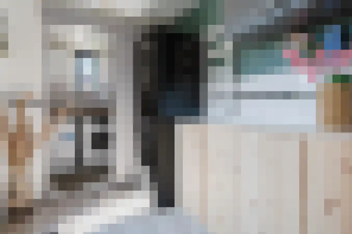 de Mieden 11 Tjalleberd thumbnail 23