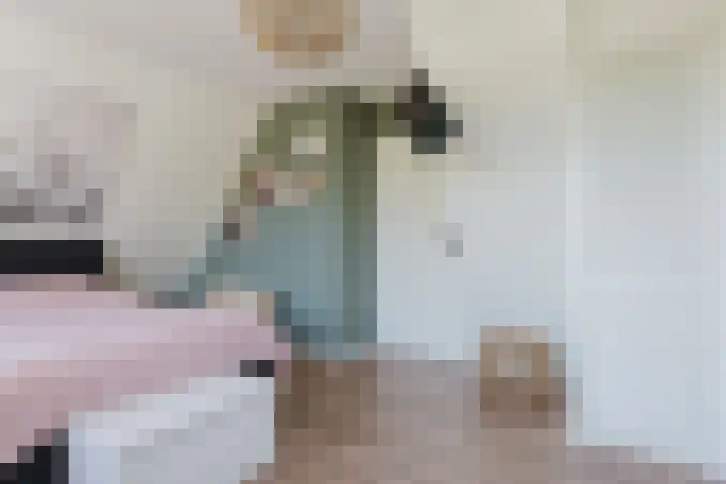de Mieden 11 Tjalleberd thumbnail 29