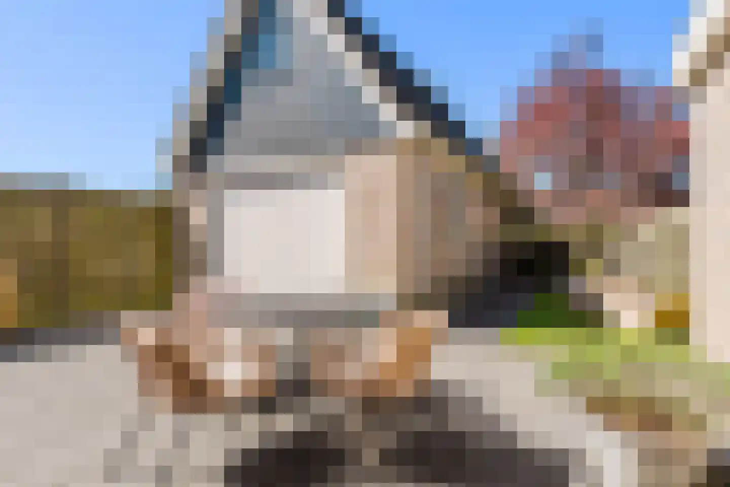 de Mieden 11 Tjalleberd foto 3