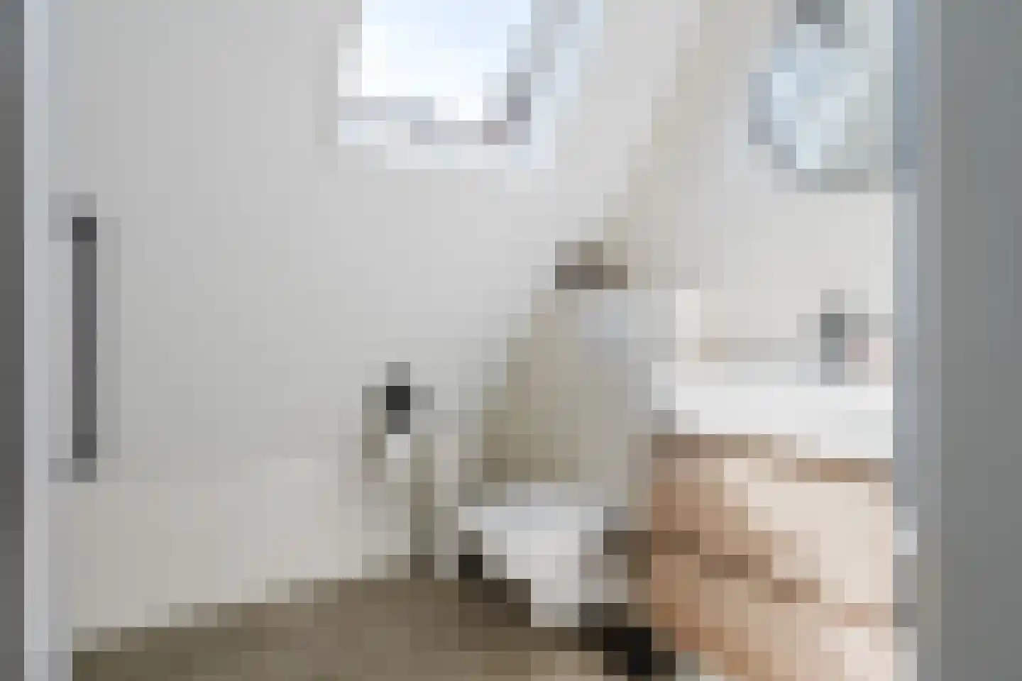 de Mieden 11 Tjalleberd thumbnail 30