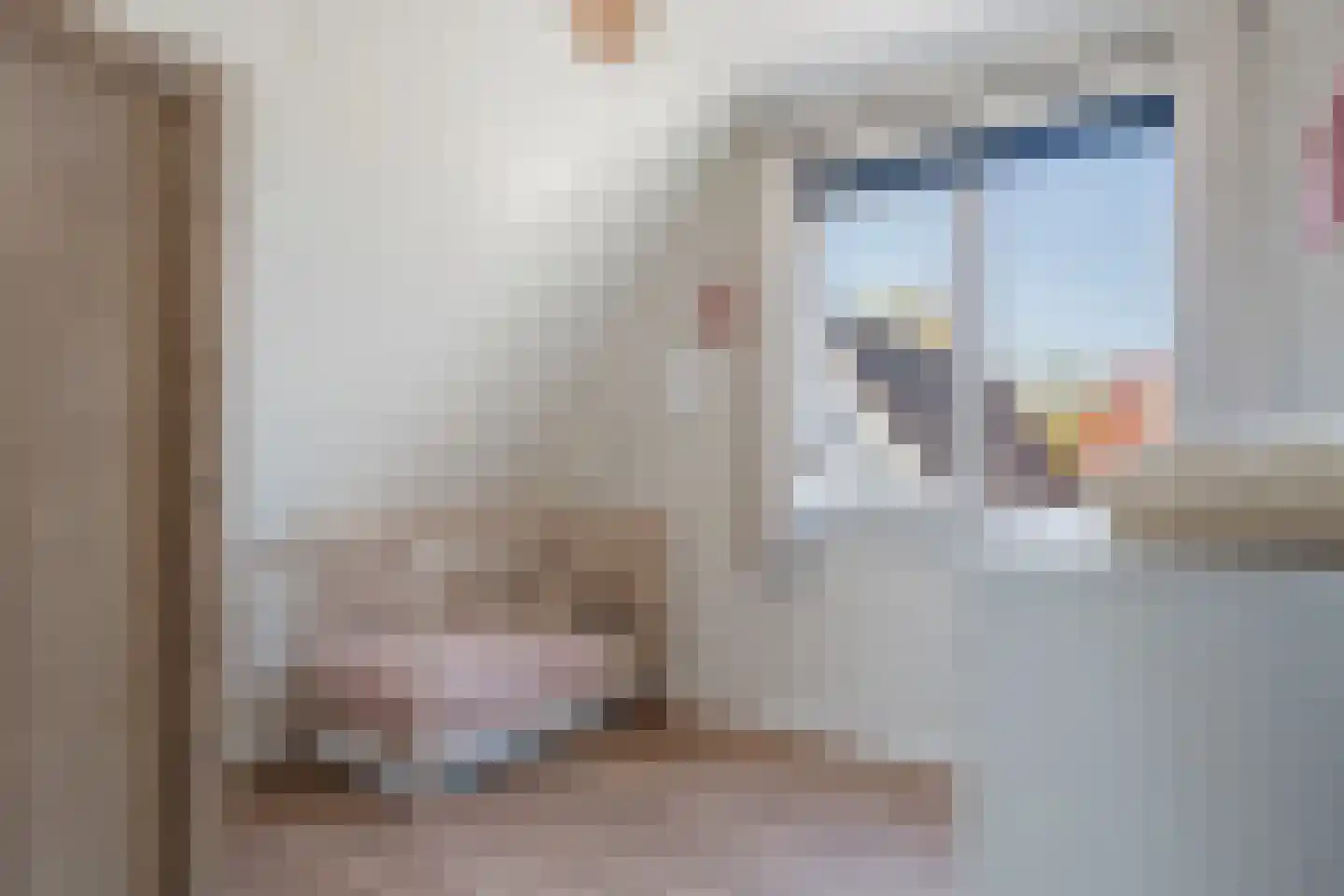 de Mieden 11 Tjalleberd thumbnail 33