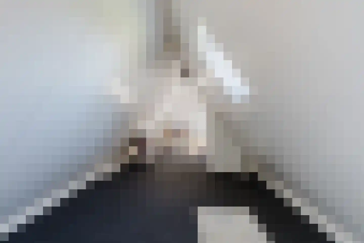 de Mieden 11 Tjalleberd thumbnail 37