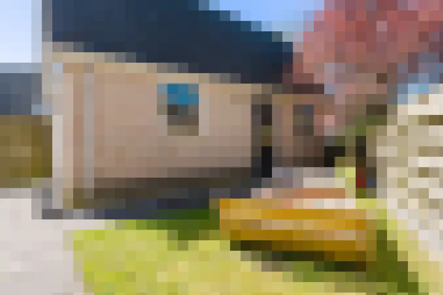 de Mieden 11 Tjalleberd thumbnail 42