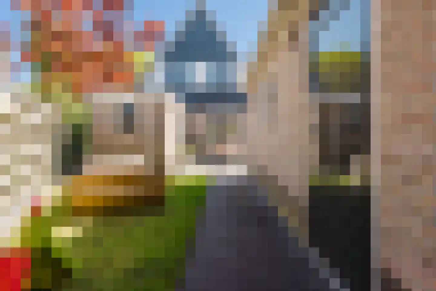 de Mieden 11 Tjalleberd thumbnail 43