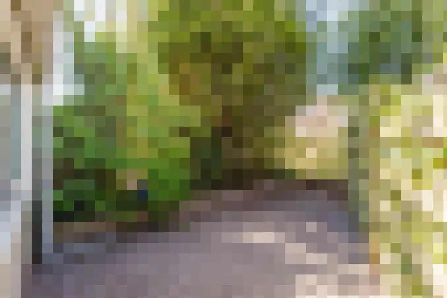 de Mieden 11 Tjalleberd thumbnail 47
