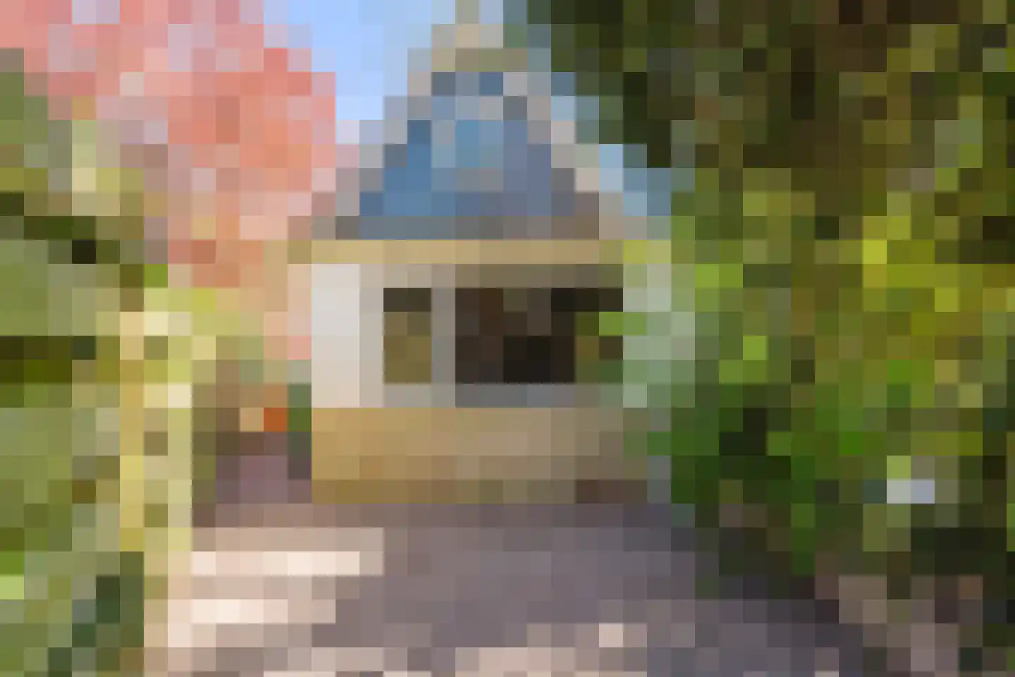 de Mieden 11 Tjalleberd thumbnail 48