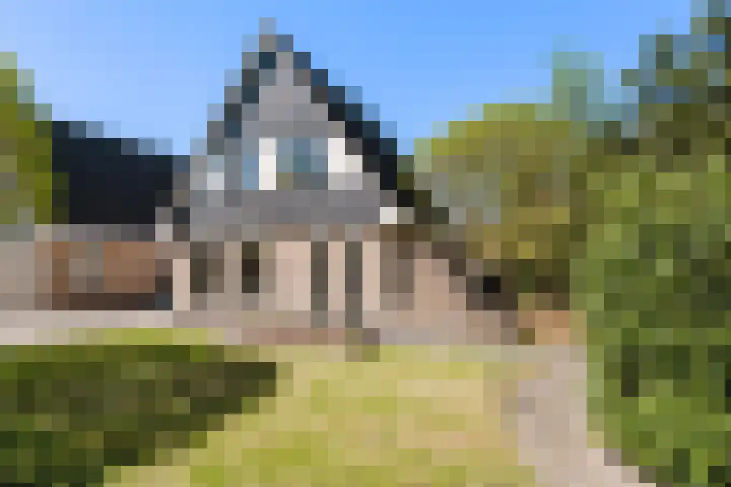 de Mieden 11 Tjalleberd thumbnail 5