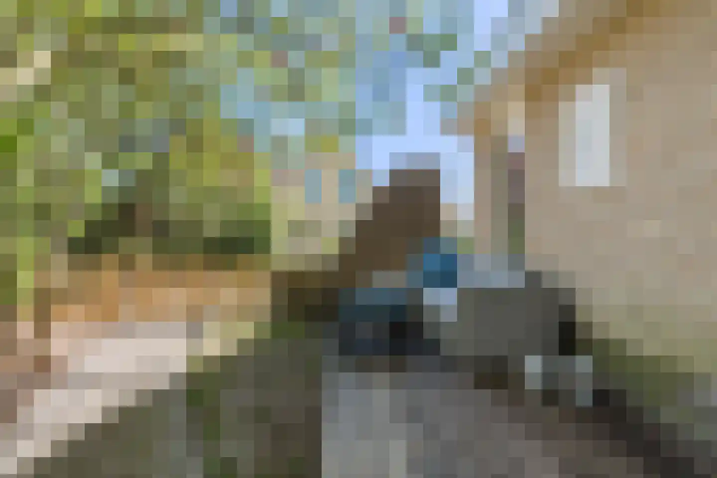 de Mieden 11 Tjalleberd thumbnail 7