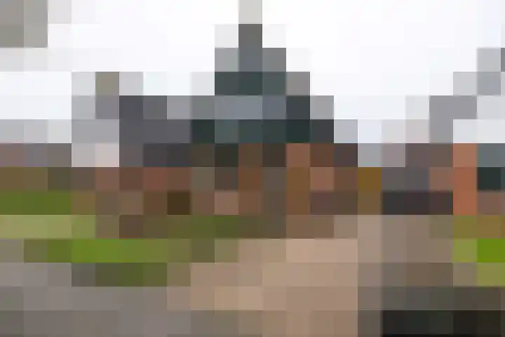De Mieden 58 Warten thumbnail 11
