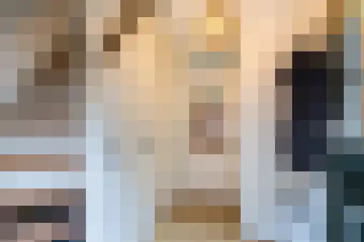 De Mieden 58 Warten thumbnail 14
