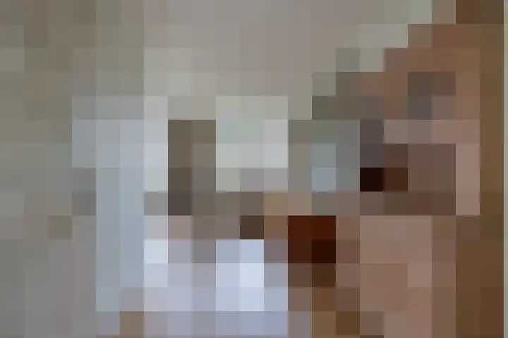 De Mieden 58 Warten thumbnail 16
