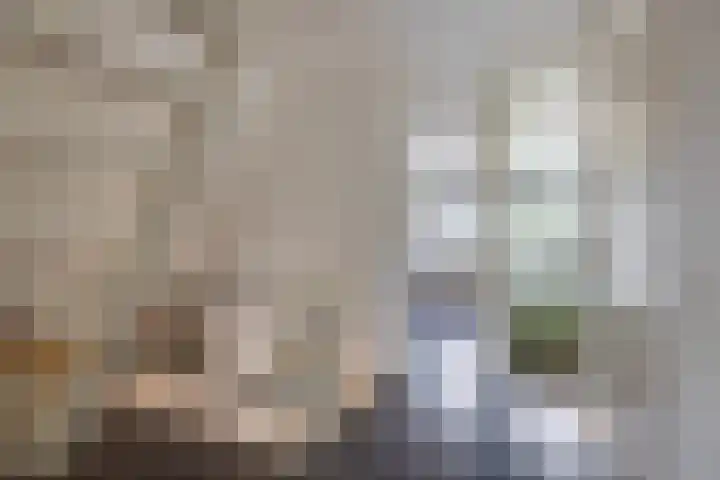 De Mieden 58 Warten thumbnail 29