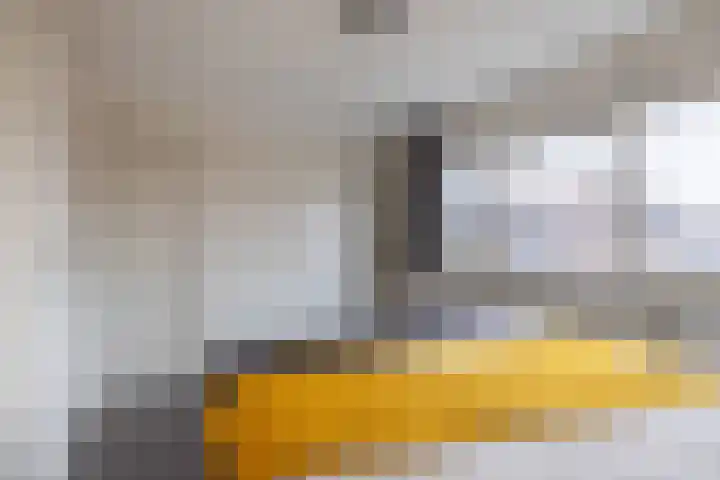 De Mieden 58 Warten thumbnail 32